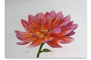 Blüte in Pink